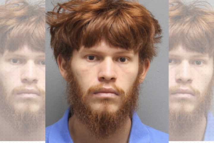 Maryland Gunman Charged With Shooting Complete Stranger Last February In Virginia: Police