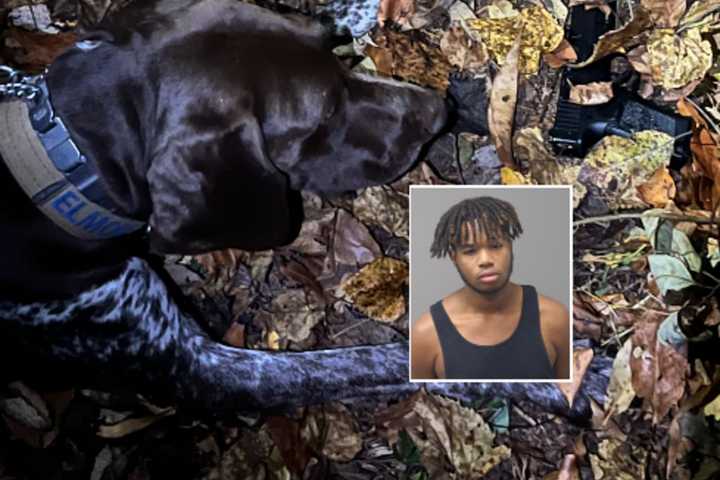 Police K9 Plays Key Role In Loudoun County BB Gun Investigation