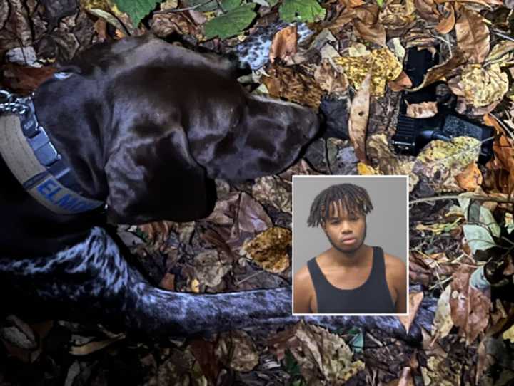 K-9 Elmore finds the gun discarded by Christian Mincey, police said.