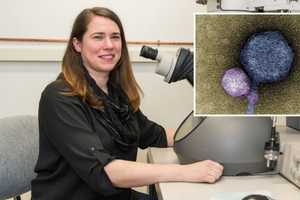 Groundbreaking 'Vampire Virus' Discovered By Student Project At UMD-Baltimore