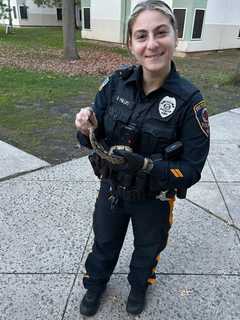 Baby Python Removed From Rutgers Dorm Room