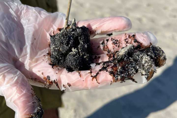 Mysterious Tar Balls Found On NJ Beaches Prompts Coast Guard Investigation