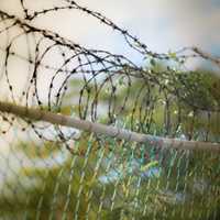 <p>Jacob Joseph Muir used multiple aliases to entice minors to send sexually explicit photos on social media, now he is heading to prison.</p>