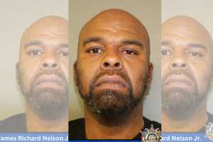 MD Ex-Con Barred From Owning Firearms Busted With Stolen Gun In New Year's Stop: Police