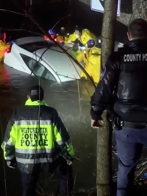 Video: Woman Rescued From Submerged Vehicle On Flooded Bronx River Parkway In Yonkers