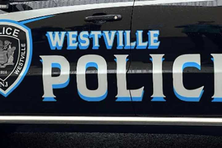 Home Invader, 19, Charged With Attempted Murder In Westville: Prosecutor