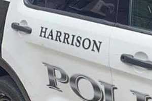 Delivery Vehicle Left Running Stolen: Harrison PD