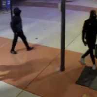 <p>A surveillance camera caught video of four burglary suspects outside Urban Tactical Firearms.</p>