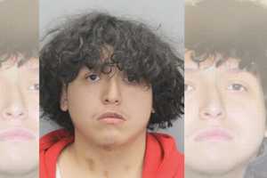 Gunman Who Killed 14-Year-Old Westfield High School Student Surrenders: Fairfax County Police