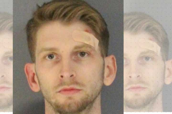 PA Man Wanted For Car Theft Caught After Pursuit In NJ: Police