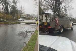 Hundreds Without Power In Englewood After Nasty Storm