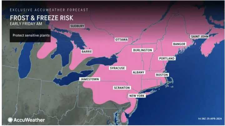 Temperatures will fall to at or below the freezing mark throughout much of the Northeast overnight, leading to damaging frosts and freezes that will pose a danger to plants.
  
