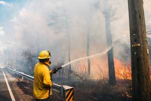 Wildfire Consumes 450 Acres Of Wharton State Forest (UPDATED)