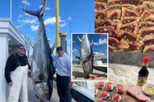 718-Pound Bluefin Reeled In By Hillsborough Fishermen Feeds Families For Free