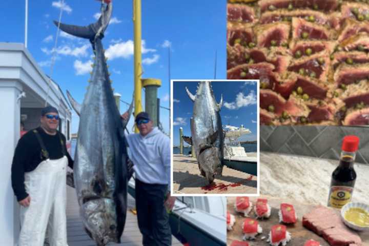 718-Pound Bluefin Reeled In By Fishermen In Manasquan Feeds Families For Free