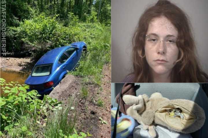 Driver With Fentanyl In Stuffed Moose Bag Sends Dodge Avenger Down Stafford Embankment: Cops