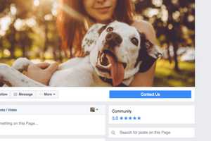 Kent Dog Officer Turns To Facebook To Find Owner Of Found Pet