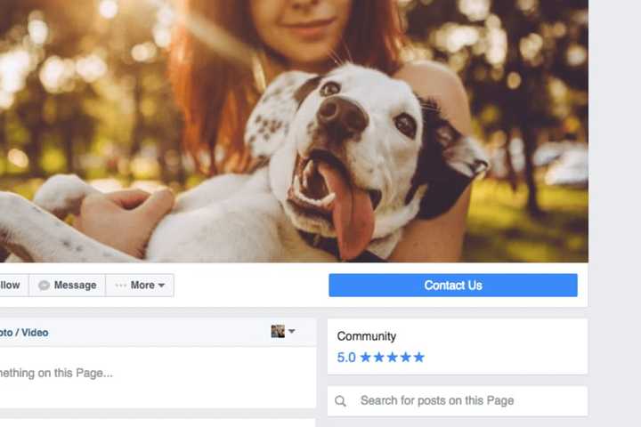 Kent Dog Officer Turns To Facebook To Find Owner Of Found Pet