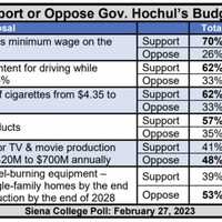 <p>Do voters support or oppose Gov. Hochul&#x27;s budget proposals?</p>