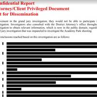 <p>One of the many blacked out pages in the report.</p>