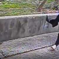 ID Sought For Suspects In Deadly Shooting Of 28-Year-Old Reading Dad