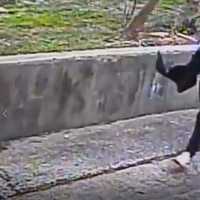 <p>Surveillance video screenshot.</p>