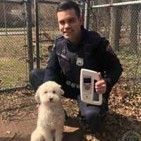 Cranford PD Using Tech To Return Lost Pets Faster