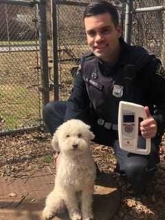 Cranford PD Using Tech To Return Lost Pets Faster