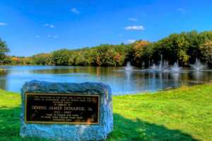 E. Coli: Dean Park Pond, Shrewsbury, Reopens For Fishing, Swimming Still Banned