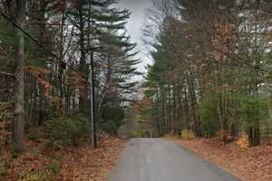 Timber Harvester Plans Disc Golf Course In Western Massachusetts