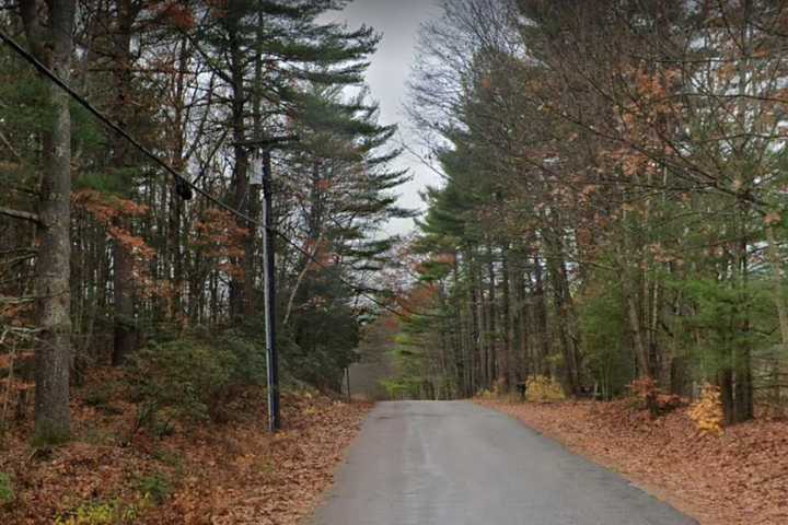 Timber Harvester Plans Disc Golf Course In Western Massachusetts