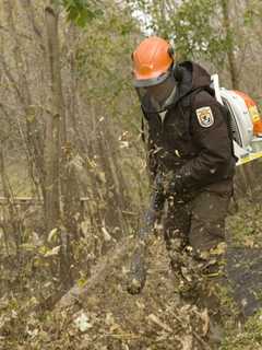 Irvington To Put Restrictions On Gas-Powered Leaf Blowers