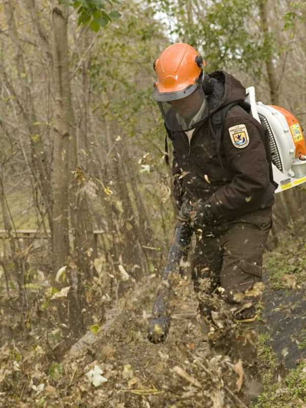 Another Westchester Community Approves Leaf Blower Limitations