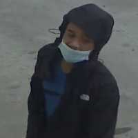 <p>Police are seeking the public&#x27;s help in identifying the person in this photo, a suspect in multiple car break-ins and thefts.</p>