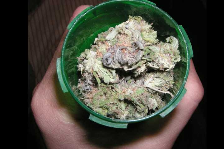 More Options For Recreational Weed In Central Mass Coming Soon