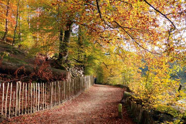 Litchfield County Named One Of Northeast's Best Spots For 'Leaf Peeping'