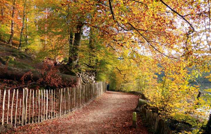 It's peak leaf-peeping season in the Northeast.&nbsp;