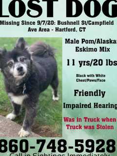 Truck With Dog Inside Stolen; Police Seek Public's Help Finding Pup, Vehicle