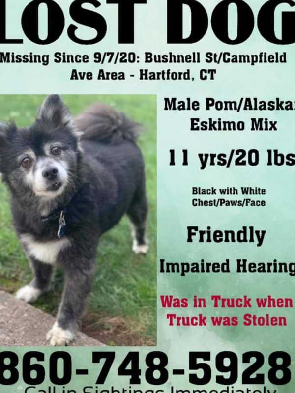 Truck With Dog Inside Stolen; Police Seek Public's Help Finding Pup, Vehicle