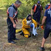 <p>Milford Firefighters rescued a man who jumped into a swamp to save his dog on Wednesday, Sept. 30. Here we see &quot;Ghost&quot; the dog safe and sound.</p>