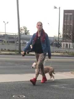 Police Seek Help IDing Owner Of Dog In Biting Incident
