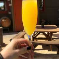 <p>Mimosa</p>