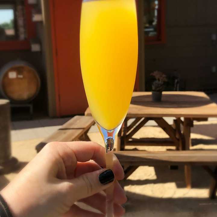 Mimosa