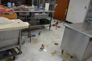 Elementary School Trashed - Vandals, Still At-Large