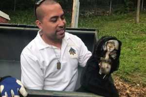 Community Rallies Around Animal Control Officer Who 'Lost Everything' To Fire