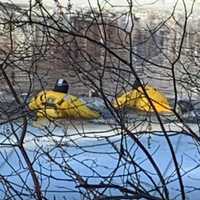 <p>Emergency responders rescued a dog named &quot;Popeye&quot; from a freezing river on Tuesday, Dec. 22.</p>