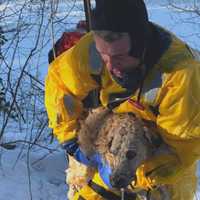 <p>Emergency responders rescued a dog named &quot;Popeye&quot; from a freezing river on Tuesday, Dec. 22.</p>