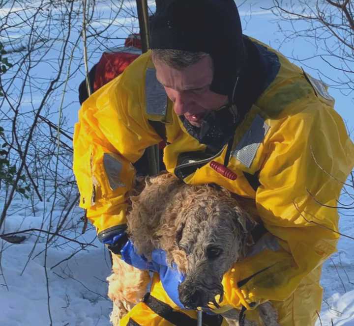 Emergency responders rescued a dog named &quot;Popeye&quot; from a freezing river on Tuesday, Dec. 22.