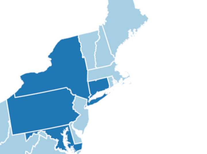 States, where the COVID-19 variant has been discovered, are in dark blue.