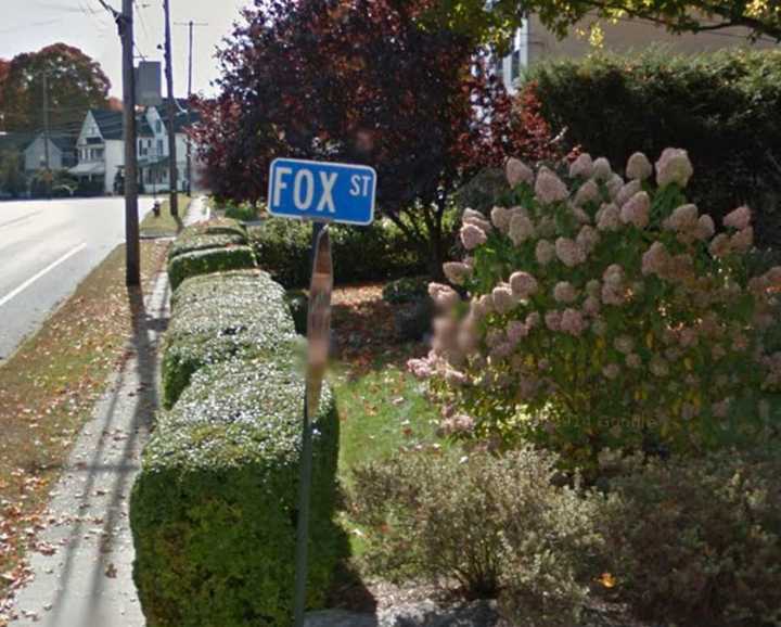 Fox Street in Palmer